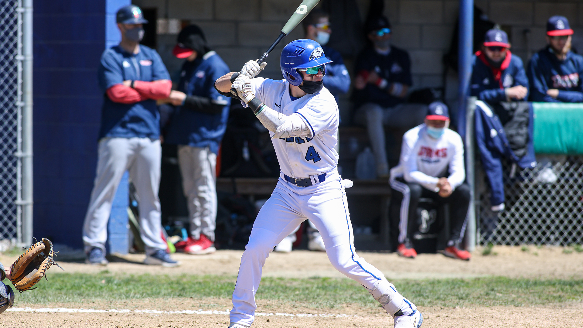 Hawks Swept by New England College in Regular Season Finale